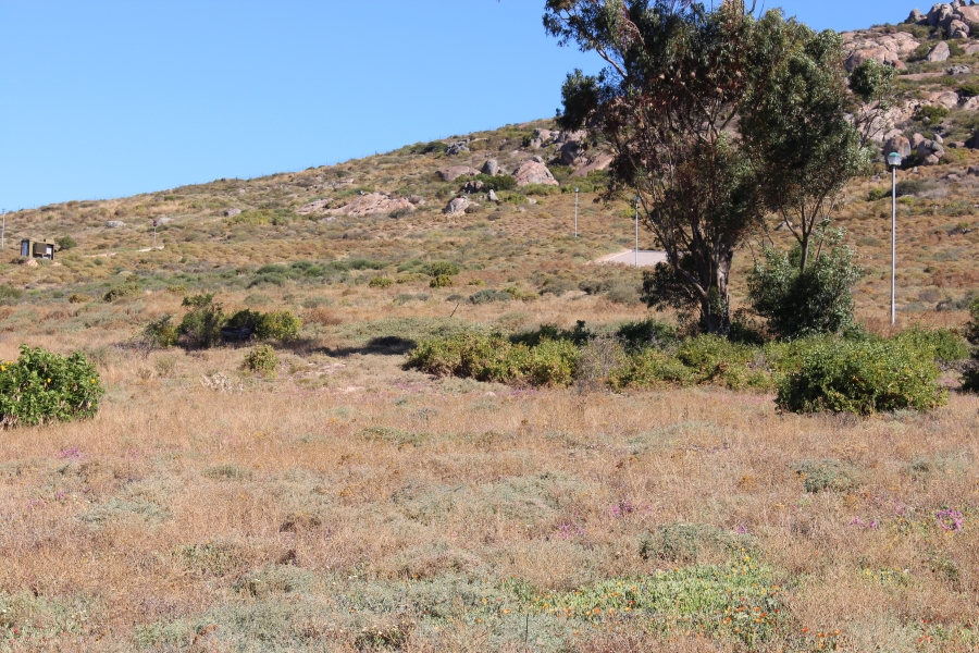 0 Bedroom Property for Sale in Steenbergs Cove Western Cape